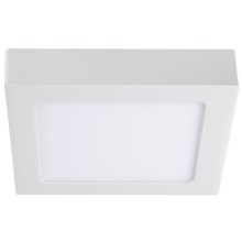 LED Ceiling light KANTI LED/12W/230V 3000K white