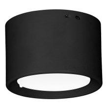 LED Ceiling light LED/10W/230V black d. 10 cm
