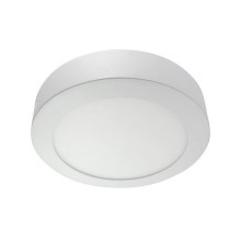 LED ceiling light LED/18W/230V 4200K
