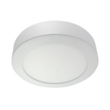 LED ceiling light LED/24W/230V 2700K