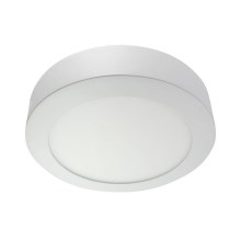 LED ceiling light LED/24W/230V 4200K