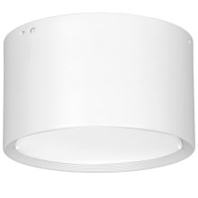 LED Ceiling light LED/25W/230V white d. 15 cm