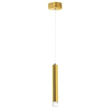 LED Chandelier on a string GOLDIE 1xLED/5W/230V golden