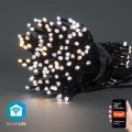 LED Christmas chain 100xLED/8 functions 15m IP65 Wi-Fi Tuya