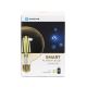 LED Dimmable bulb FILAMENT G125 E27/6W/230V 2700-6500K Wi-Fi - Aigostar