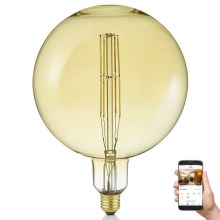 LED Dimmable bulb GLOBE E27/6,5W/230V 2000-5500K Wi-Fi - Reality
