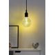 LED Dimmable bulb MOSAIC G125 E27/5W/230V 2700K - Paulmann 28747