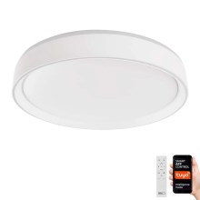 LED Dimmable ceiling light GoSmart LED/30W/230V 2700-6500K Wi-Fi Tuya + remote control