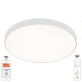 LED Dimmable ceiling light LED/48W/230V 2700-6500K Wi-Fi Tuya + remote control