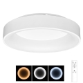 LED Dimmable ceiling light NEST LED/40W/230V 3000-6500K white