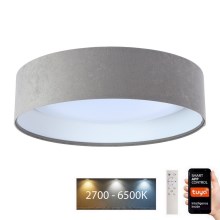 LED Dimmable ceiling light SMART GALAXY LED/24W/230V d. 45 cm 2700-6500K Wi-Fi Tuya grey/white + remote control