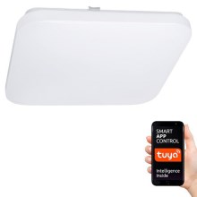 LED Dimmable ceiling light SMART LED/28W/230V Wi-Fi Tuya 3000-6500K