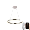 LED Dimmable chandelier on a string LED/70W/230V 3000-6500K + remote control