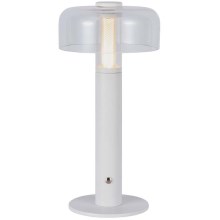 LED Dimmable rechargeable touch table lamp LED/1W/5V 3000K 1800 mAh white