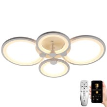 LED Dimmable surface-mounted chandelier LED/65W/230V 3000-6500K + remote control