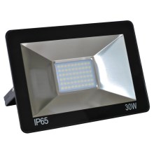 LED Floodlight LED/30W/230V IP65