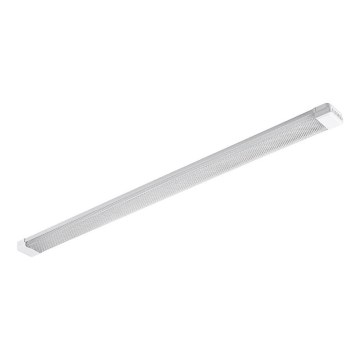 LED Fluorescent light LED/72W/230V 4000K 120 cm