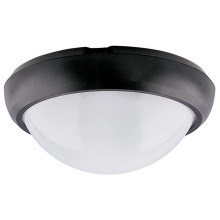 LED Outdoor ceiling light LED/12W/230V IP54