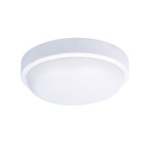 LED Outdoor ceiling light LED/20W/230V IP54