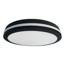 LED Outdoor ceiling light MARLON LED/36W/230V 4000K IP54 black