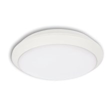 LED Outdoor ceiling light TIPO LED/18W/230V IP66