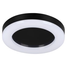 LED Outdoor ceiling light TURA LED/24W/230V 4000K IP54 black