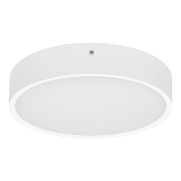 LED Outdoor ceiling light with sensor MARTIN LED/15W/230V 3000/4000K d. 30 cm IP65 white