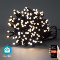 LED Outdoor Christmas chain 100xLED/8 functions 15m IP65 Wi-Fi Tuya warm white