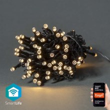 LED Outdoor Christmas chain 50xLED/8 functions 10m IP65 Wi-Fi Tuya warm white