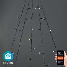 LED Outdoor Christmas curtain 200xLED/8 functions 5x7m IP65 Wi-Fi Tuya warm to cool white