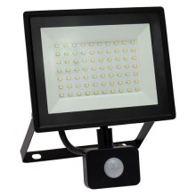 LED Outdoor floodlight with a sensor NOCTIS LUX 3 LED/50W/230V 4000K IP44 black