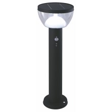 LED Outdoor solar lamp LARIX LED/3W/230V IP44