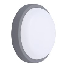 LED Outdoor wall light LED/20W/230V 4000K IP54 grey round