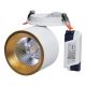LED Recessed spotlight HARON LED/20W/230V white