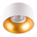 LED Recessed spotlight MINI RITI 1xGU10/25W/230V white/gold