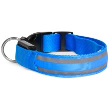 LED Rechargeable dog collar 35-43 cm 1xCR2032/5V/40 mAh blue