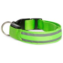 LED Rechargeable dog collar 35-43 cm 1xCR2032/5V/40 mAh green