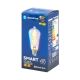 LED RGBW Bulb FILAMENT ST64 E27/4,9W/230V 2700K - Aigostar