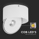 LED Flexible spotlight LED/20W/230V 3000/4000/6400K CRI 90 white