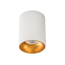 LED Spotlight RITI 1xGU10/10W/230V white/gold