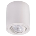 LED Spotlight TUBA 1xGU10/5W/230V 2700K white