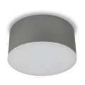 LED2 - LED Ceiling light BUTTON LED/17W/230V silver