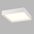 LED2 - LED Ceiling light MILO LED/30W/230V white 3000/4000K