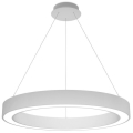 LED2 - LED Dimmable chandelier on a string SATURN LED/60W/230V 3000K/4000K white