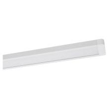 Ledvance - LED Ceiling light OFFICE LINE LED/48W/230V