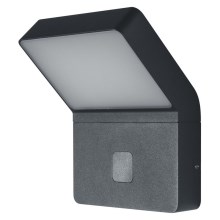 Ledvance - LED Outdoor light with a sensor ENDURA LED/12W/230V IP44