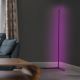 Ledvance - LED RGBW Dimmable floor lamp SMART+ FLOOR LED/20W/230V 2700-6500K Wi-Fi black + remote control