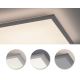Leuchten Direkt 12200-16 - LED Ceiling light FLAT LED/17W/230V
