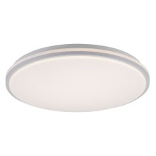 Leuchten Direkt 14209-16 - LED Dimmable ceiling light COLIN LED/32,4W/230V