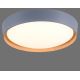 Leuchten Direkt 14347-15 - LED Dimmable ceiling light EMILIA LED/28,8W/230V grey
